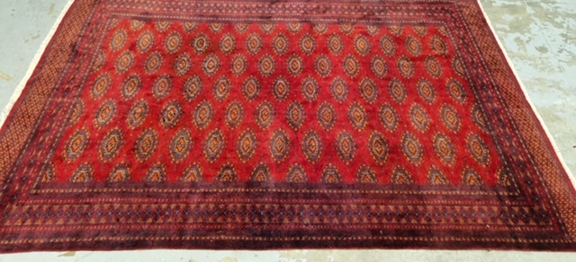 Tapis bokhara rouge et bordeaux examiné à plat dans l'atelier